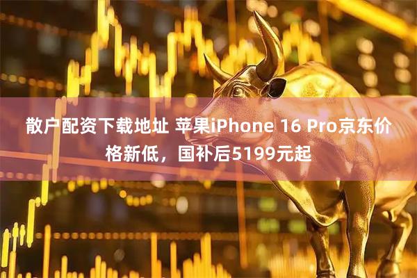 散户配资下载地址 苹果iPhone 16 Pro京东价格新低，国补后5199元起