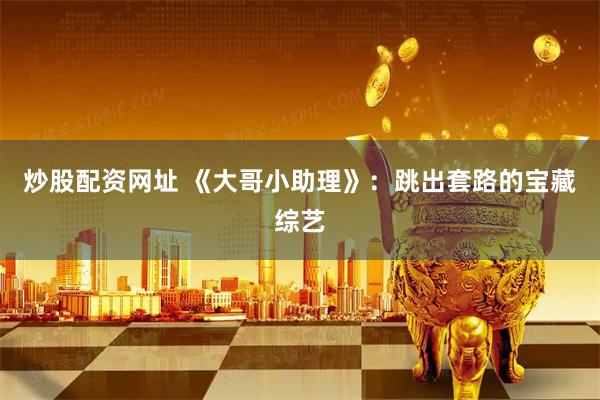 炒股配资网址 《大哥小助理》：跳出套路的宝藏综艺